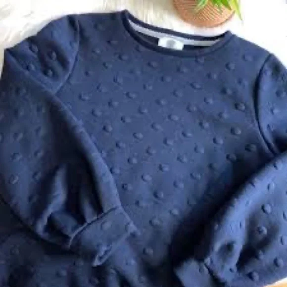 Anthropologie Lili’s Closet Textured Polka Dot Pullover - Picture 3 of 3